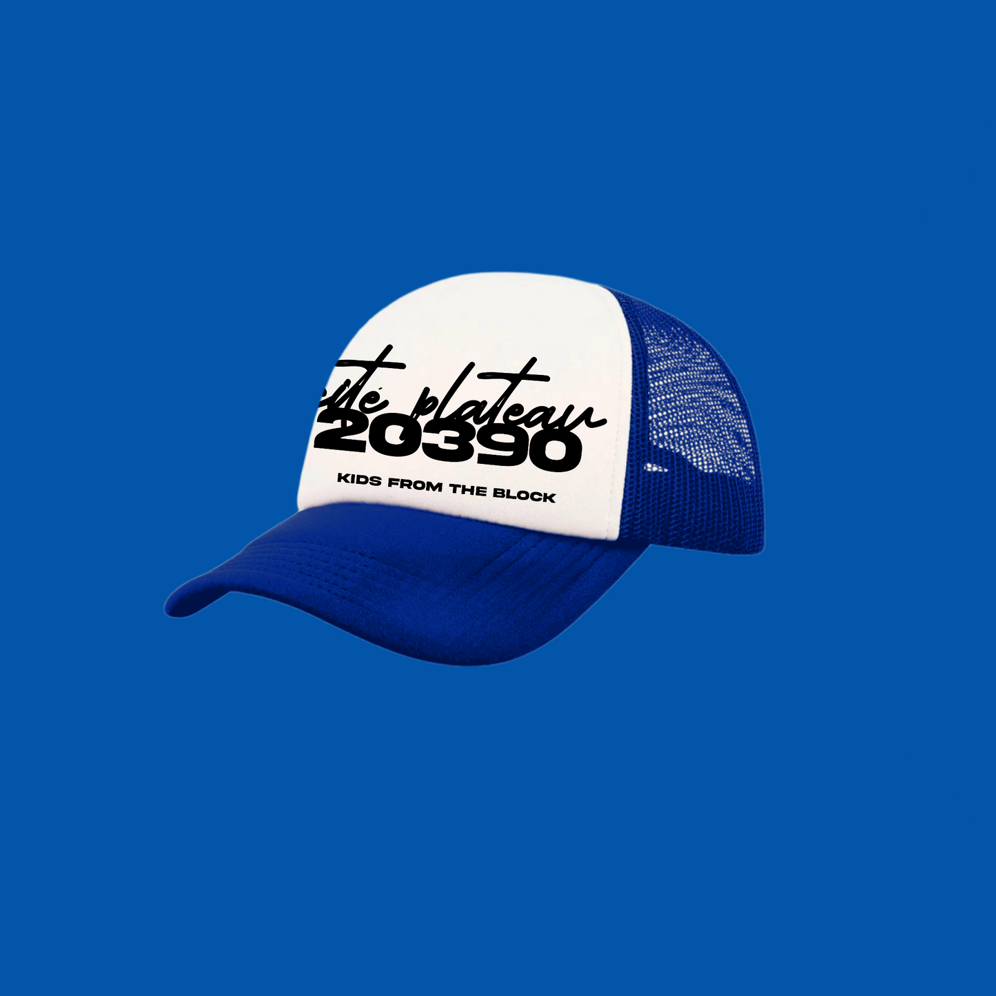 BLUE/WHITE ICON CAP